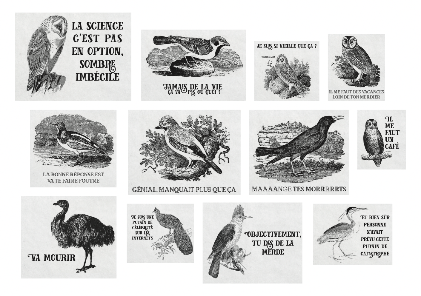 Effin Birds 2 / La Ribambulle